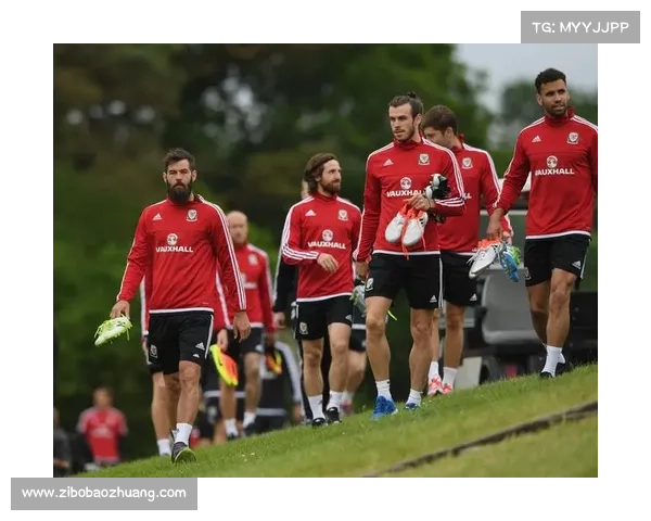 希季尔在欧洲杯中的关键表现如何帮助球队夺冠